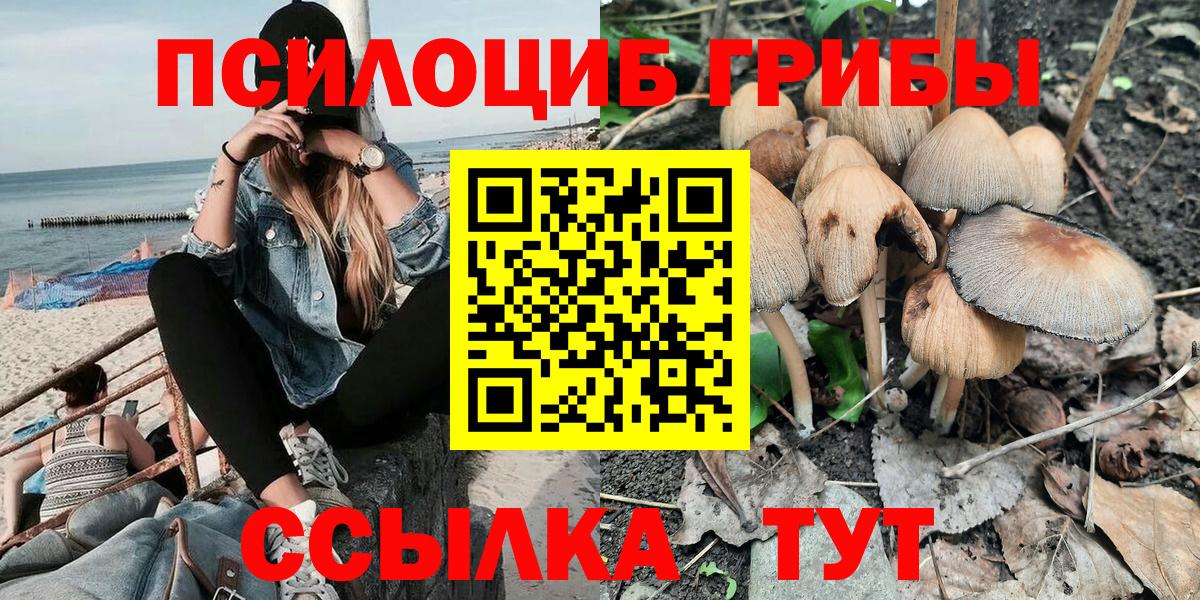 Псилоцибиновые грибы MAGIC MUSHROOMS  Псилоцибиновые грибы мицелий  Вход с VPN  Мирный 