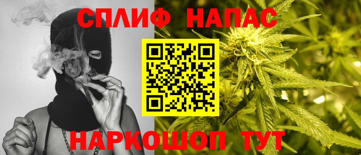 APVP Мирный